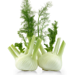 Fenouil