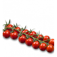 Tomate cerise