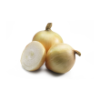 Oignon blanc