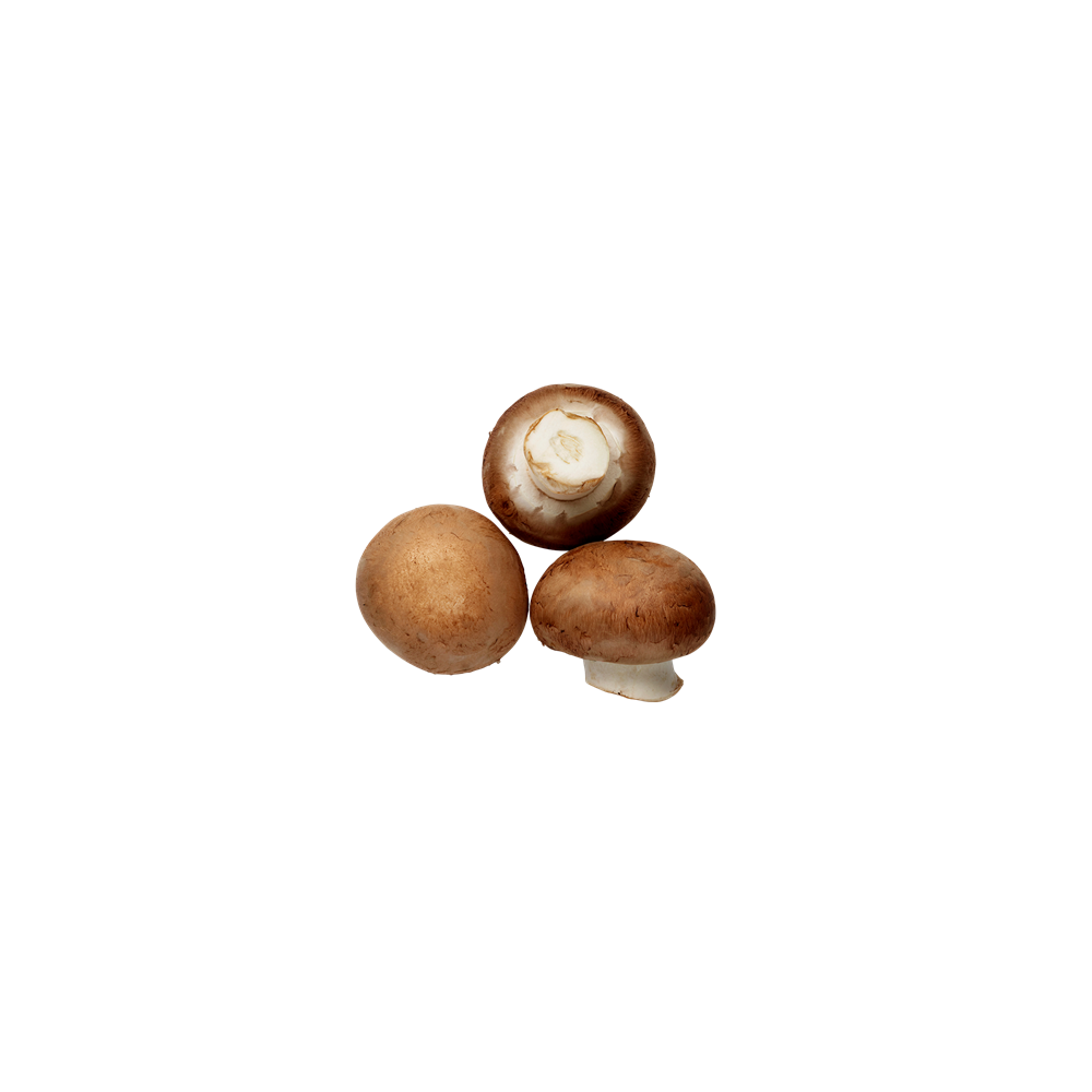 Champignons de paris brun