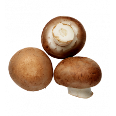 Champignons de paris brun