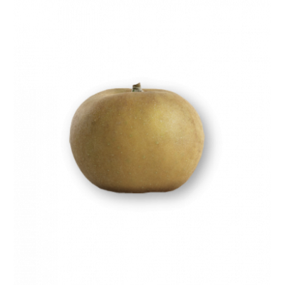 Pomme Canada gris