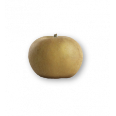 Pomme Canada gris