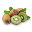 Kiwi sélection