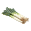 Poireau