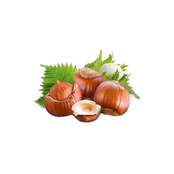 Vitafruits | Noisette