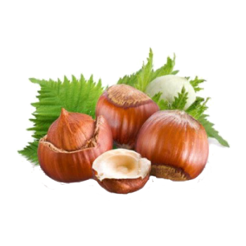 Vitafruits | Noisette