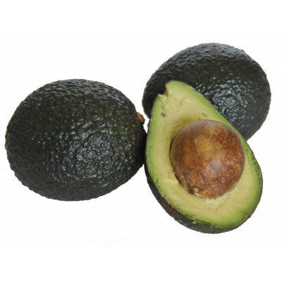 Avocat
