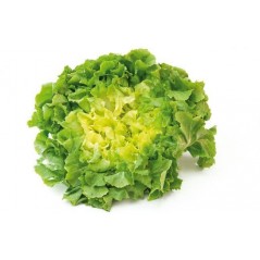La salade scarole