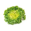 La salade scarole