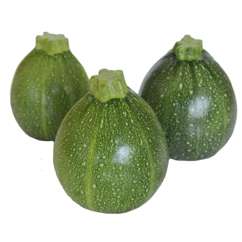 Vitafruits | Courgette ronde
