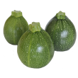Courgette ronde de Nice