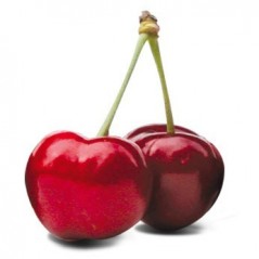 Cerises France