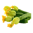 Vitafruits | Courgette fleur