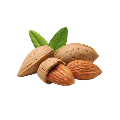 Amandes coques