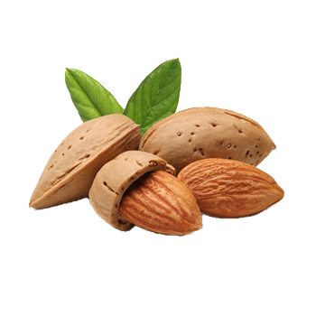 Amandes coques