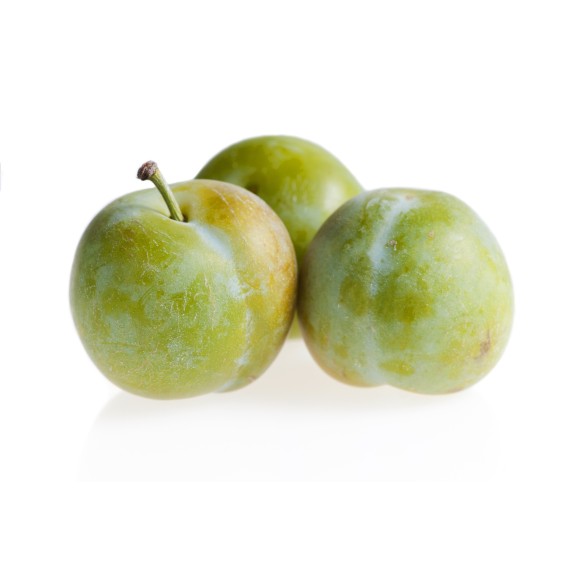 Prune Reine Claude