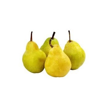 Poire Guyot