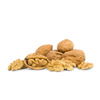 Vitafruits | Noix sèches de Grenoble AOC