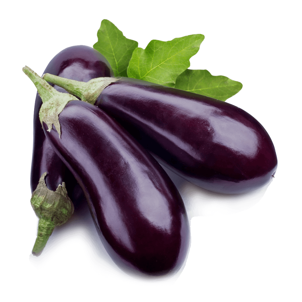 Aubergine