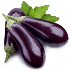 Aubergine