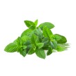 Menthe