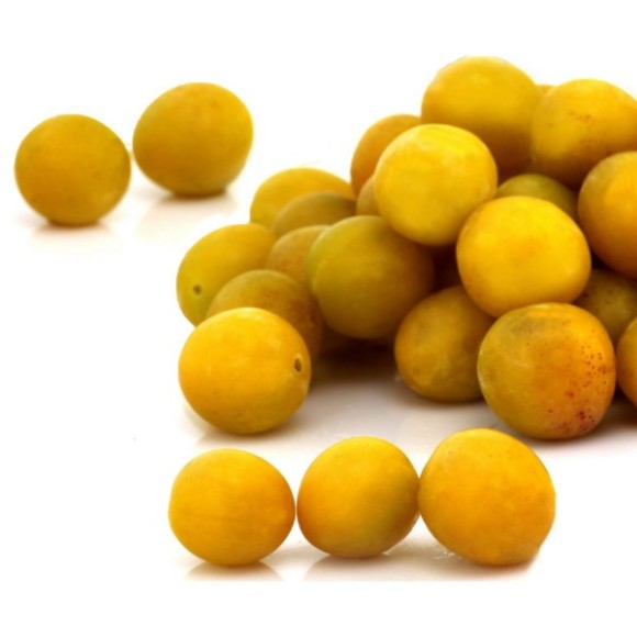 Prune mirabelle