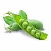 Petit pois