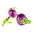 Navet violet
