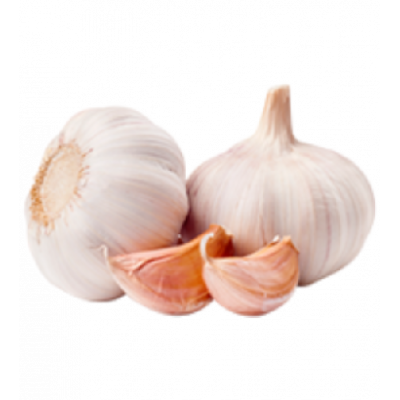 Ail rose de Lautrec AOC