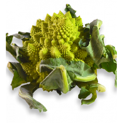 Chou romanesco