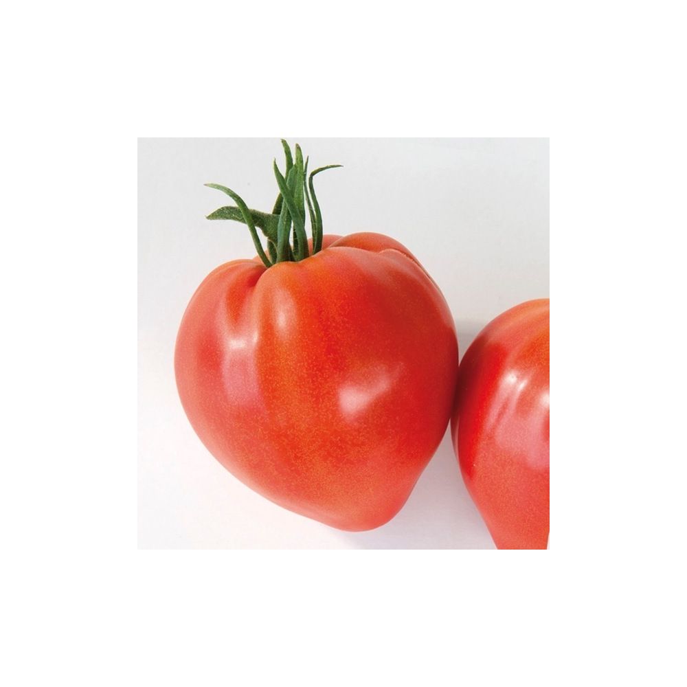 Tomates Types Coeur
