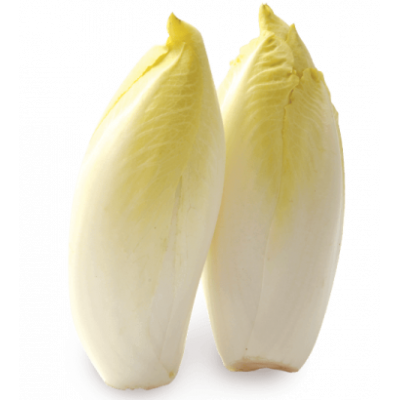 Endive