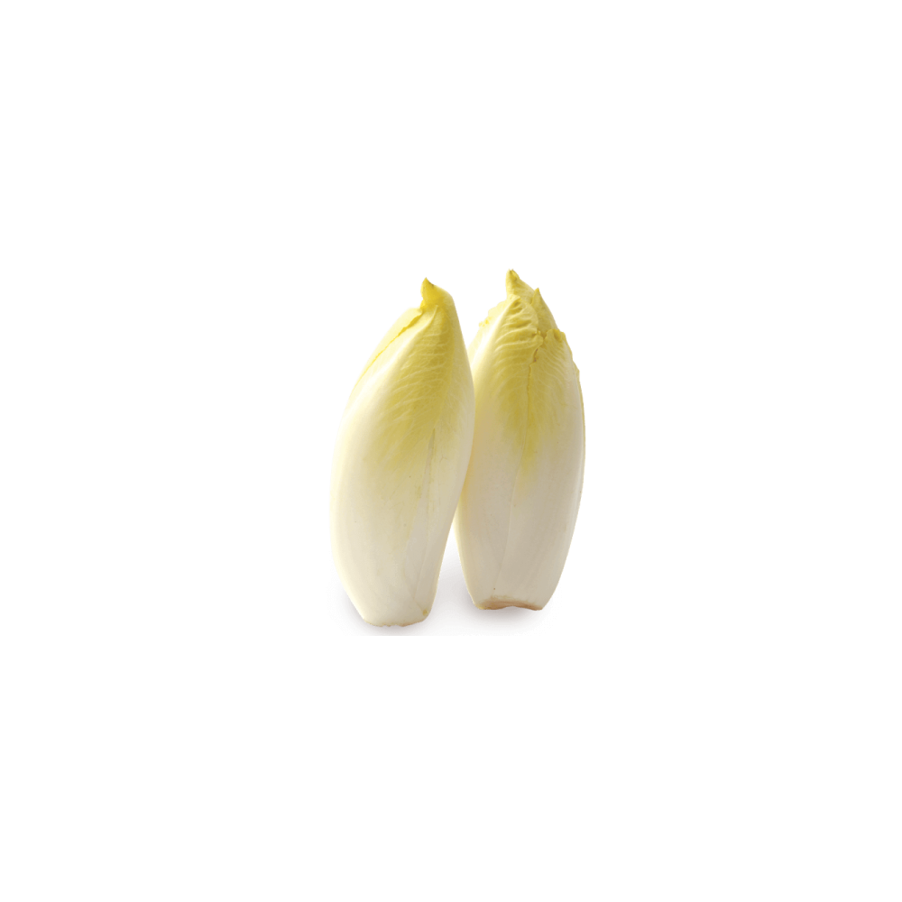 Endive