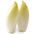 Endive
