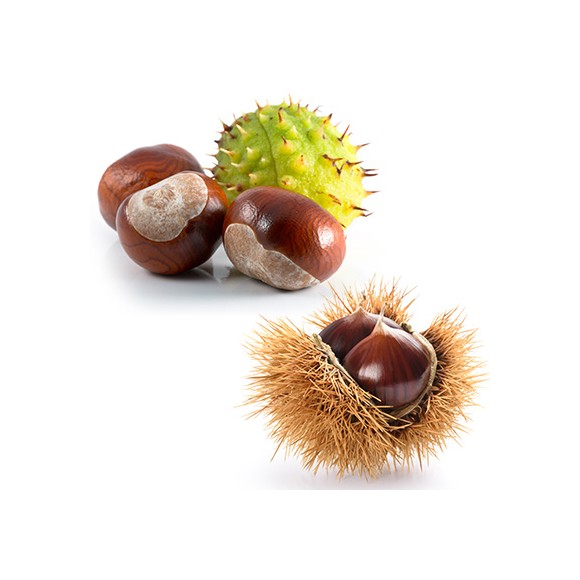 Vitafruits | Marron bouche de betizac