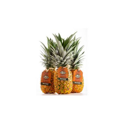 Ananas Avion Extra Sweet