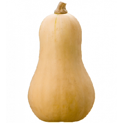 Courge butternut