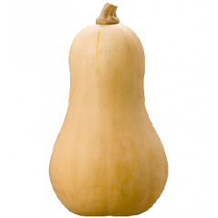 Courge butternut