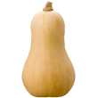 Vitafruits | Courge butternut