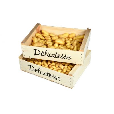 Pomme de Terre Delikatesse