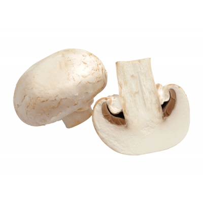 Champignons de paris