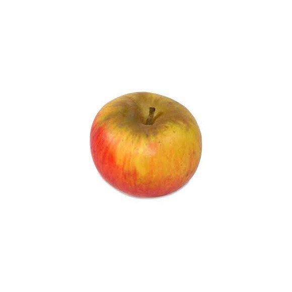 Vitafruits | Pomme Reines de Reinettes Vitafruits | Pomme Reines de Reinettes