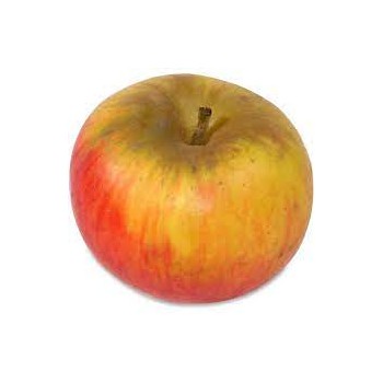 Vitafruits | Pomme Reines de Reinettes