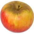 Vitafruits | Pomme Reines de Reinettes