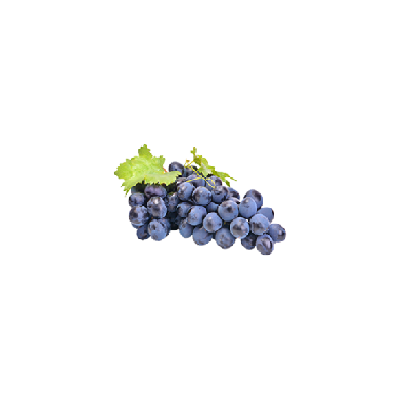 Raisin Muscat