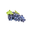 Raisin Muscat