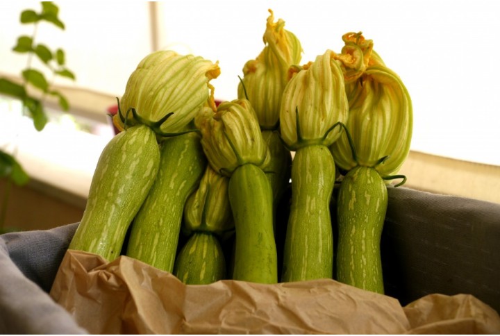 La courgette trompette de Nice : un légume riche et savoureux